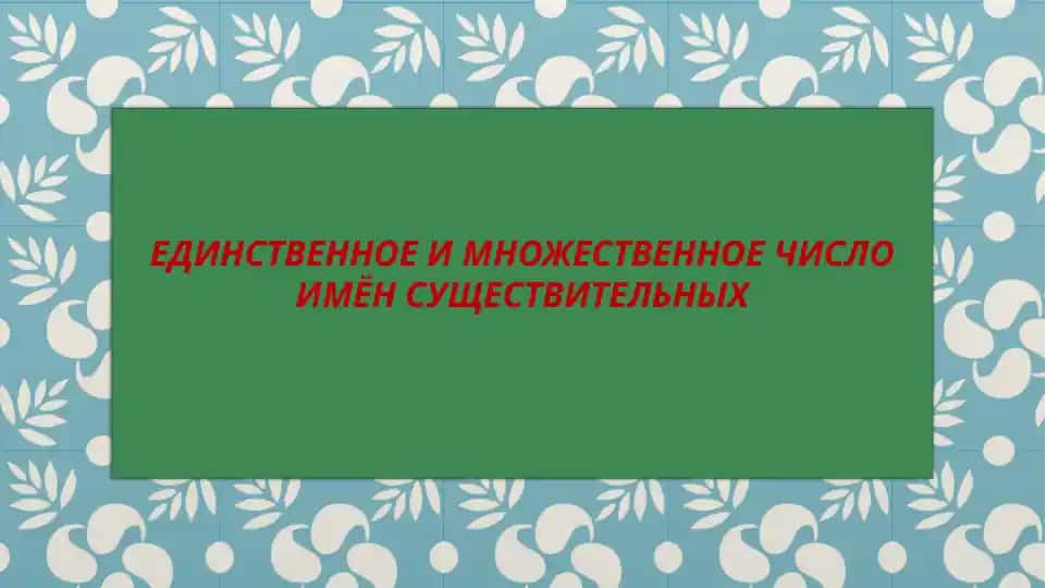 Единственное и множественное число имен существительных