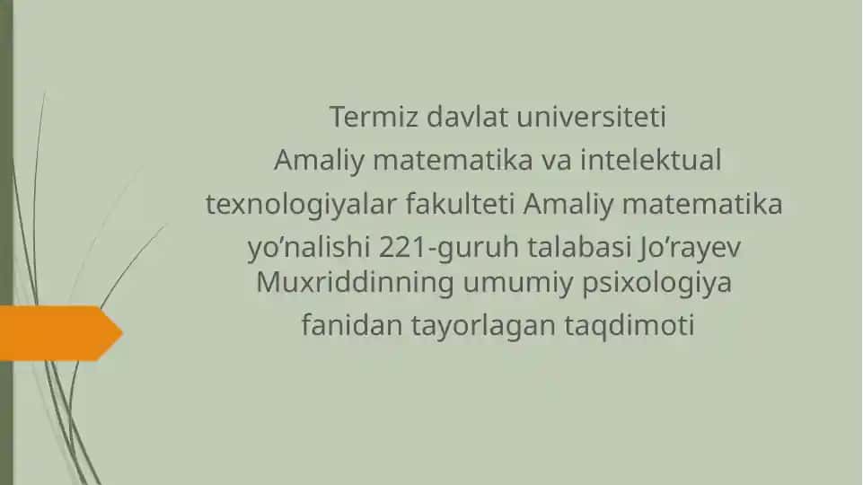 Termizdavlat universiteti