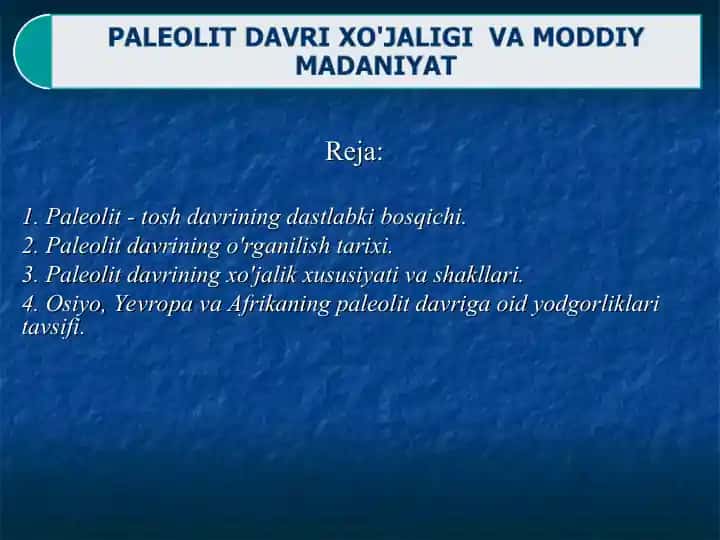 Paleolit tarixi
