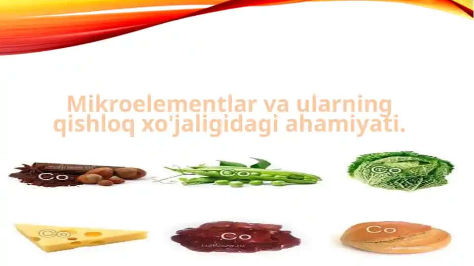Mikroelementlar va ularning qishloq xo'jaligidagi ahamiyati