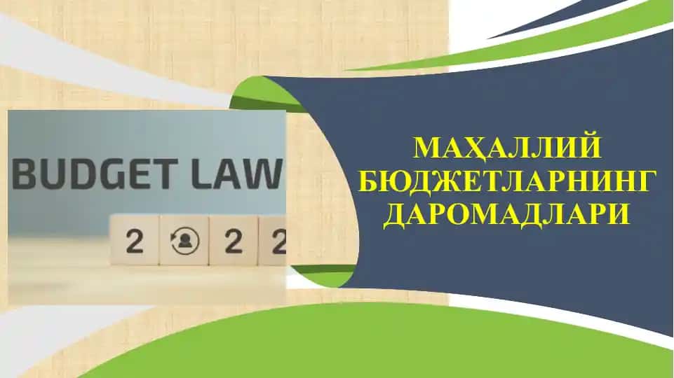 Маҳаллий бюджетларнинг даромадлари
