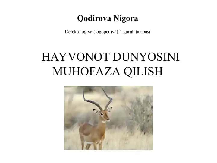 Hayvonot dunyosini muhofaza qilish