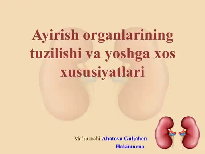 Ayirish organlarining tuzilishi va yoshga xos xususiyatlari