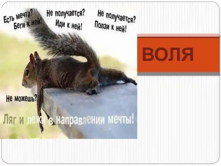 Воля
