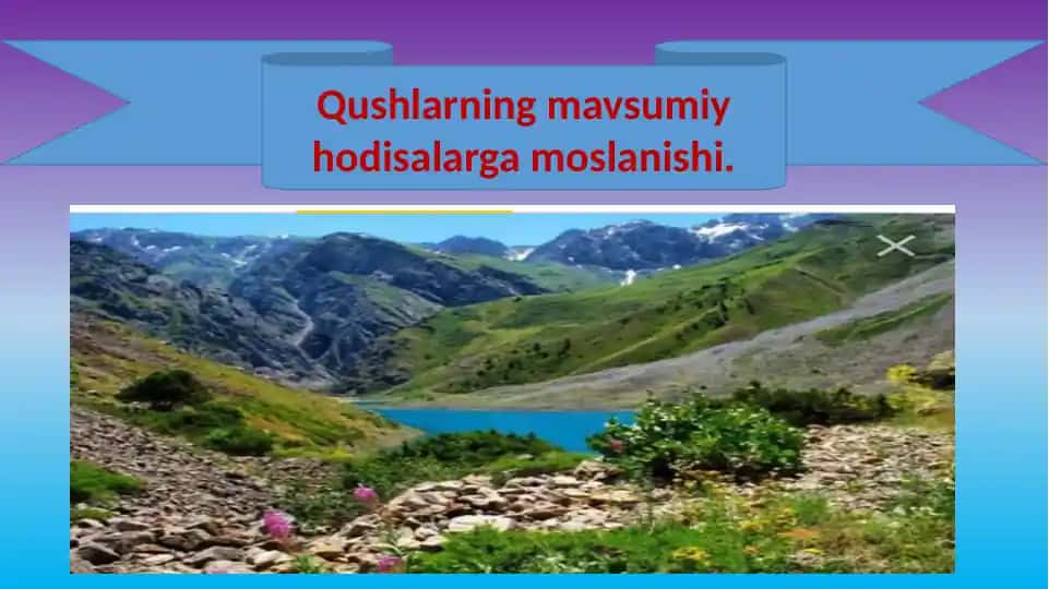 Qushlarning mavsumiy hodisalarga moslanishi