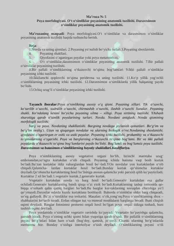 Poya morfologiyasi. Ot osimliklar foyasining morfologiyasi. Daraxtsimon osimliklar poyasining anotomik tuzilishi