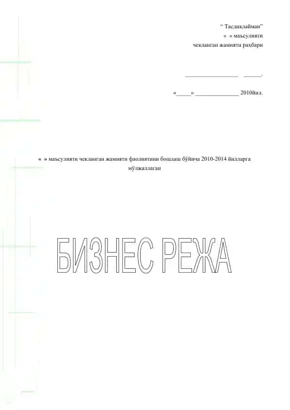 Biznes rejasasi