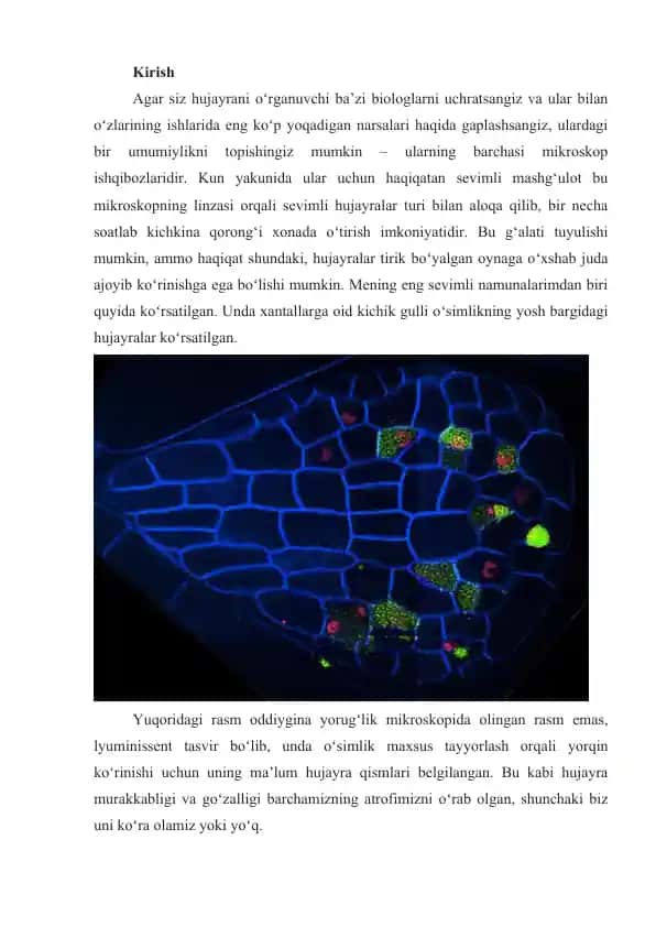 Mikroskop bilan Biologiya O'rganish