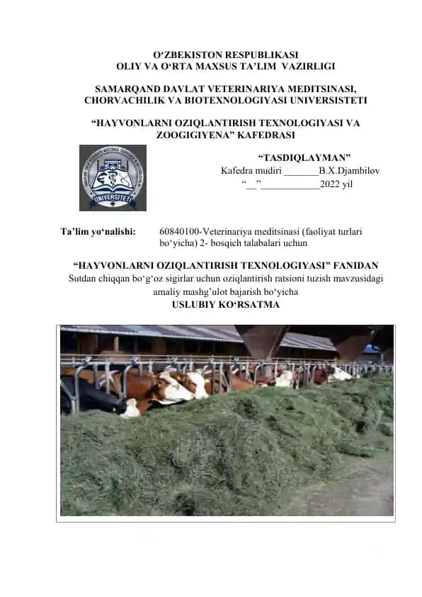 Sutdan chiqqan bo‘g‘oz sigirlar uchun oziqlantirish ratsioni tuzish