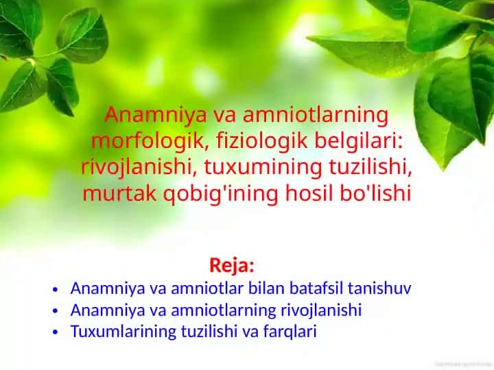Anamniyalarni o'rganing