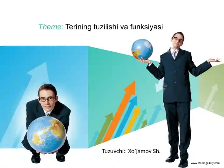 Terining tuzilishi va funksiyasi