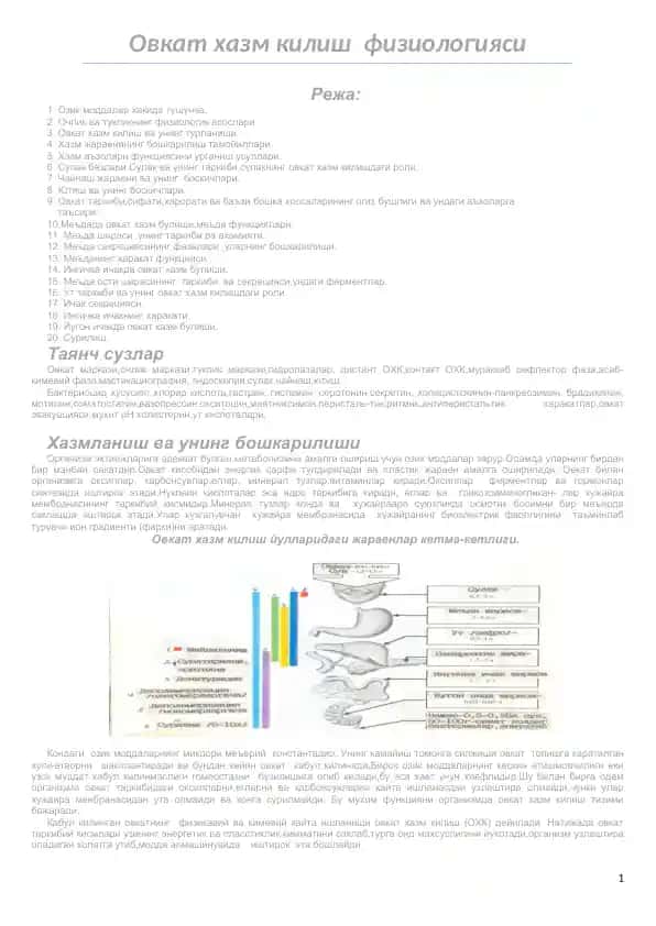 Овкат хазм килиш физиологияси