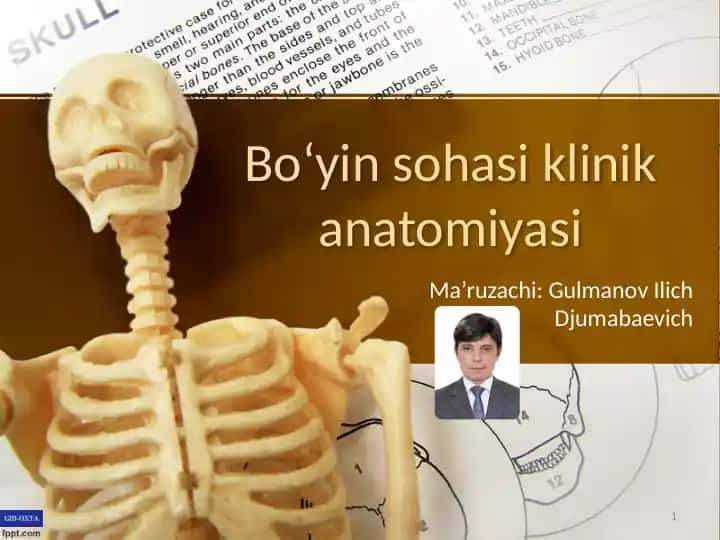 Bo‘yin sohasi klinik anatomiyasi