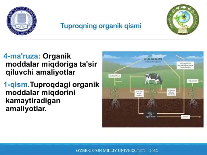 Tuproqning organik qismi