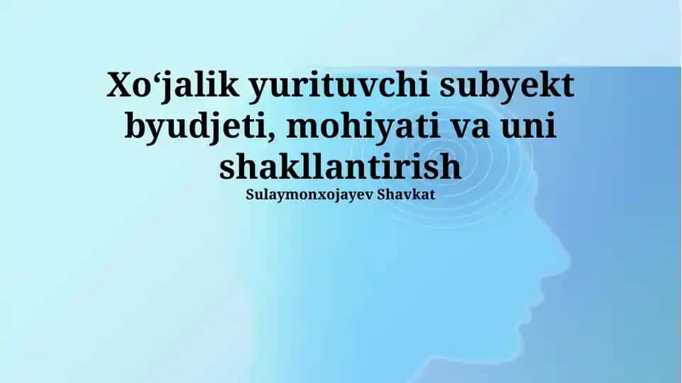 Xo‘jalik yurituvchi subyekt byudjeti, mohiyati va uni shakllantirish