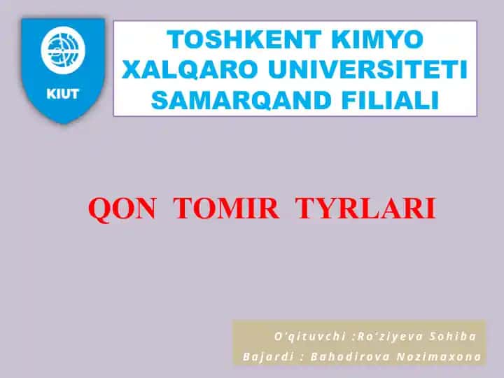 Qon Tomir Turlari