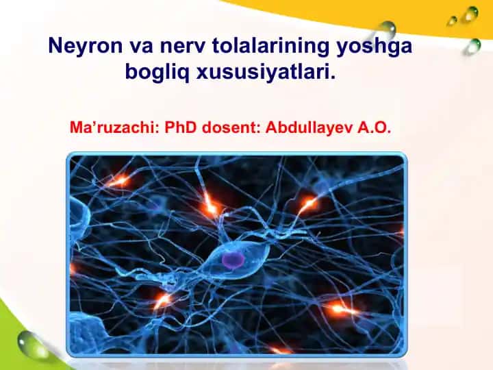 Neyron va nerv tolalarining yoshga bogliq xususiyatlari
