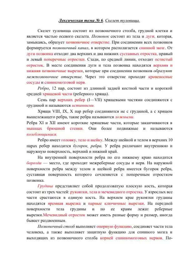 Skelеt tuvovişi