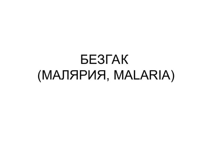 Безгак (МАЛЯРИЯ, MALARIA)