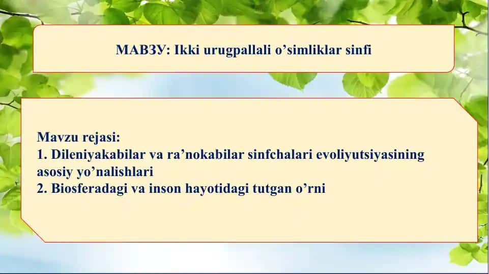 Ikki urugpallalio’simliklar sinfi