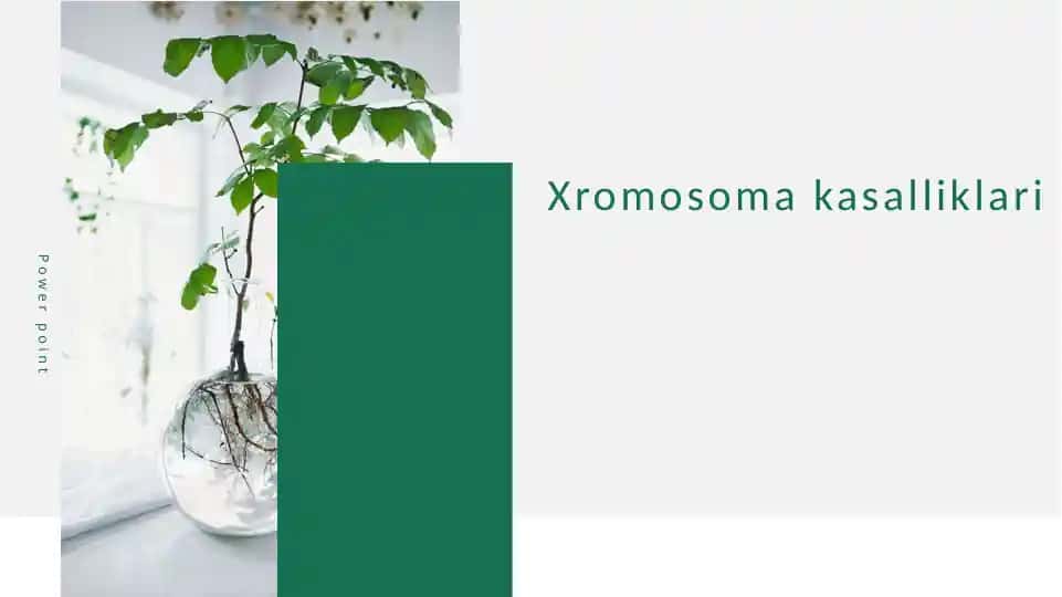 Xromosoma kasalliklari