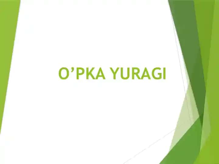 O’PKA YURAGI