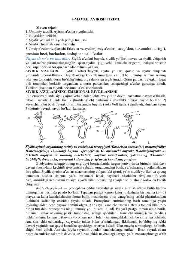 AYIRISH TIZIMI