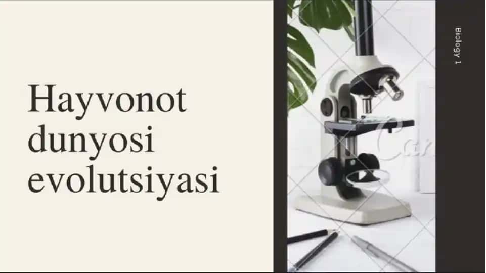 Hayvonot dunyosi evolutsiyasi