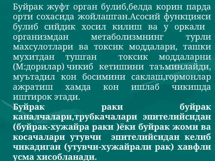 Буйрак жуфт орган