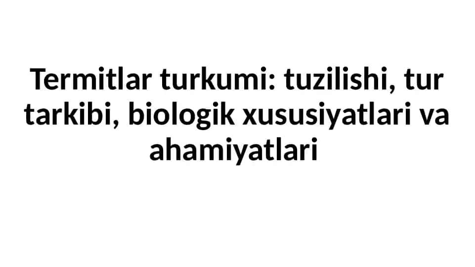 Termitlar