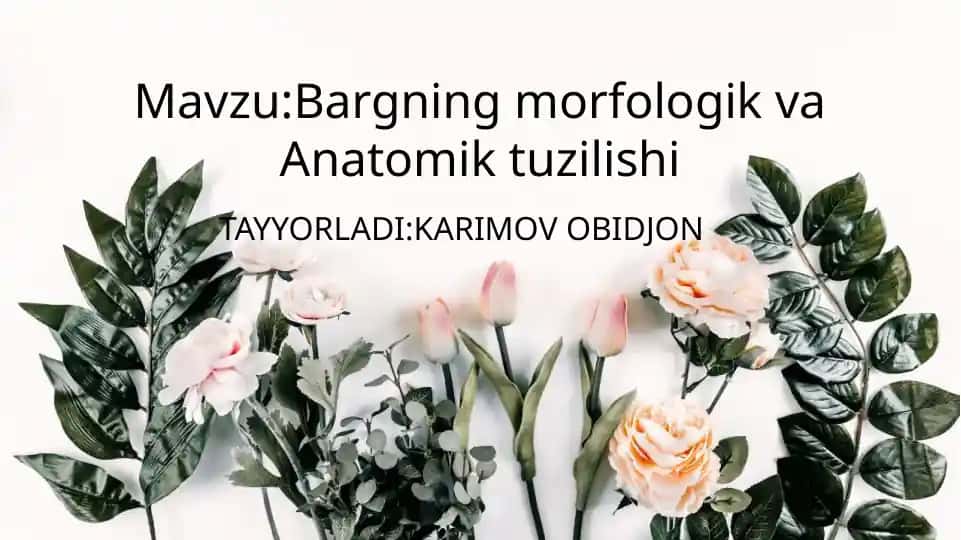 Bargning morfologik va anatomik tuzilishi