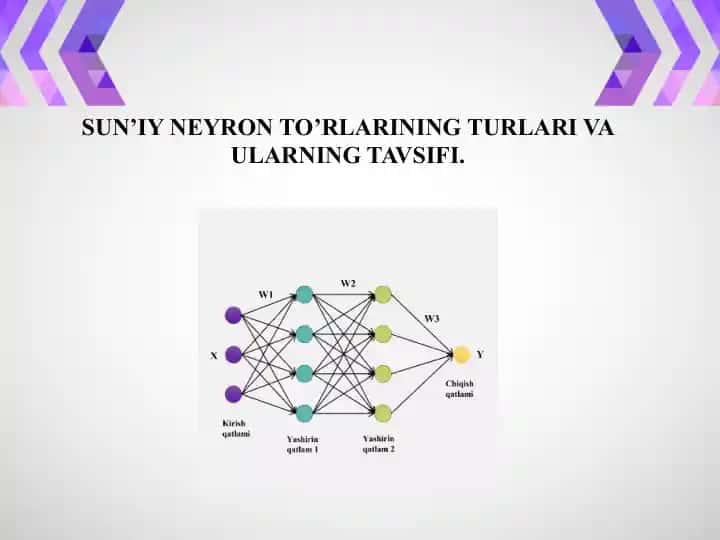 Sun’iy neyron to’rlarining turari va ularning tavsifi