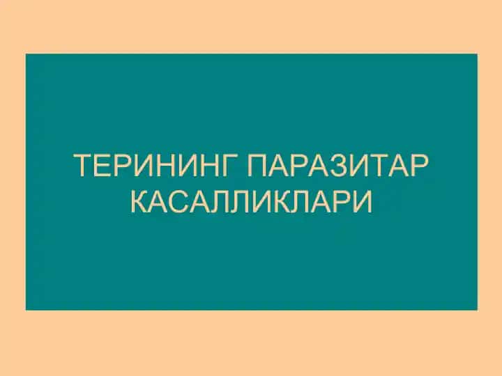 Терининг паразитар касалликлари