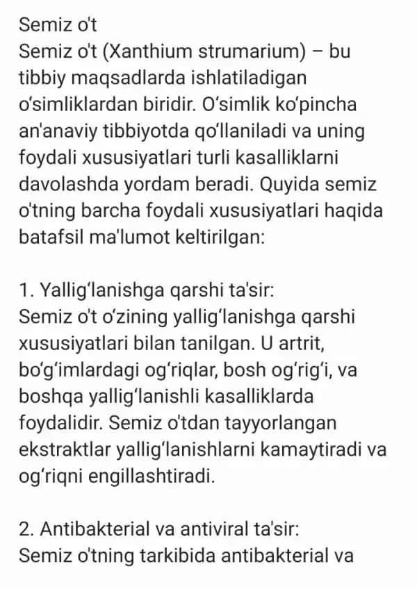 Semiz ot