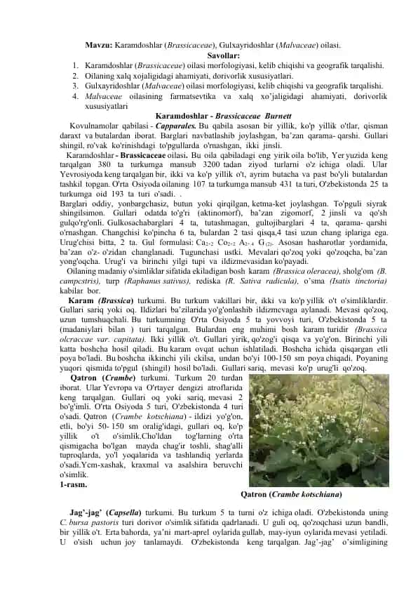 Karamdoshlar (Brassicaceae) va Gulxayridoshlar (Malvaceae) oilalari haqida taqdimot