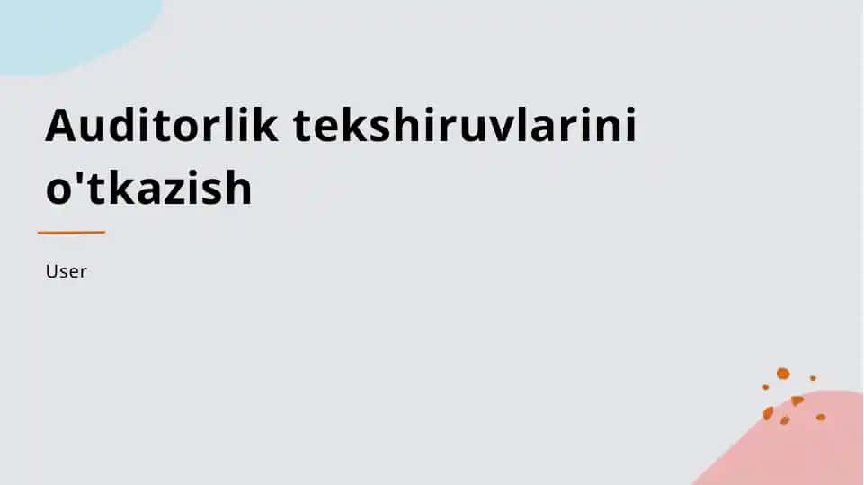 Auditorliktekshiruvlarinio'tkazish