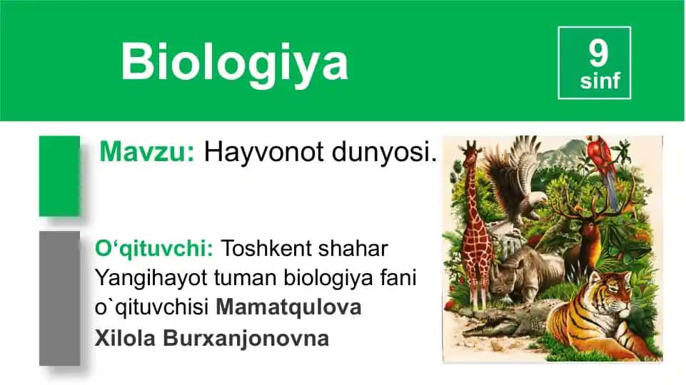 Hayvonlar va O‘simliklar