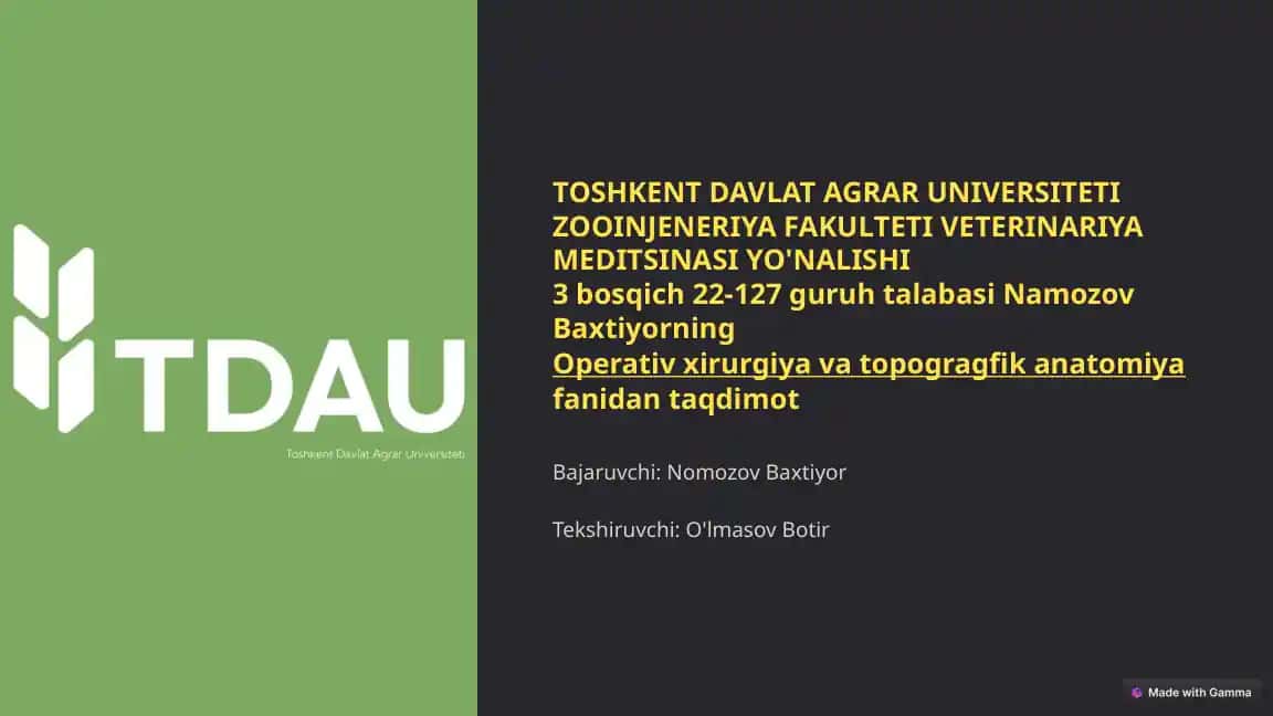 Operativ xirurgiya va topogragfik anatomiya