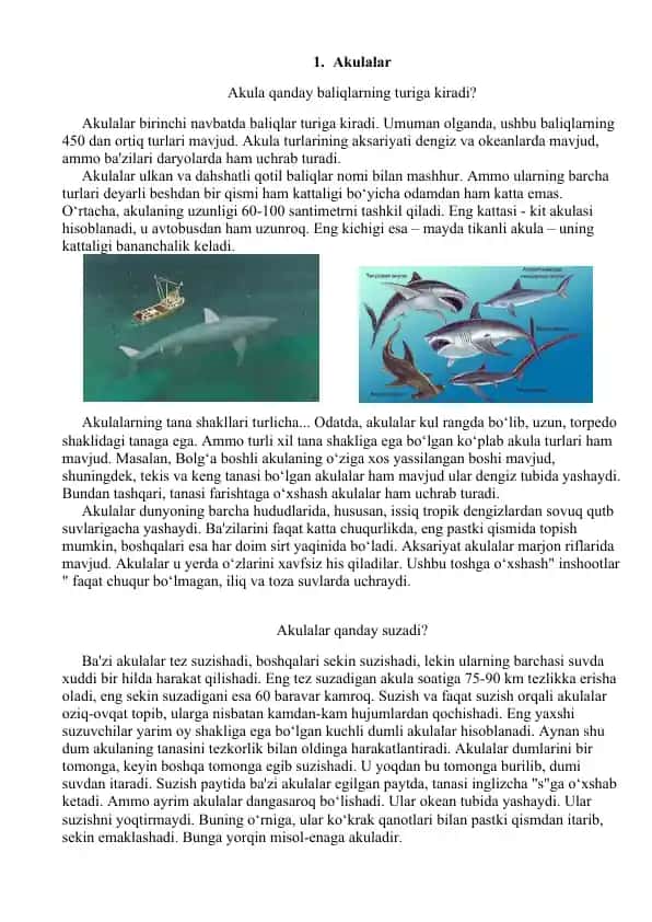 Akulalar