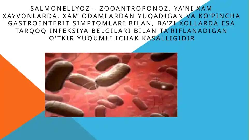 Salmonellyoz