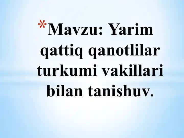 Yarim qattiq qanotlilar turkumi vakillari bilan tanishuv