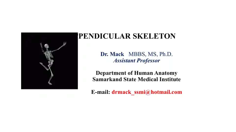 Pelvic Girdle