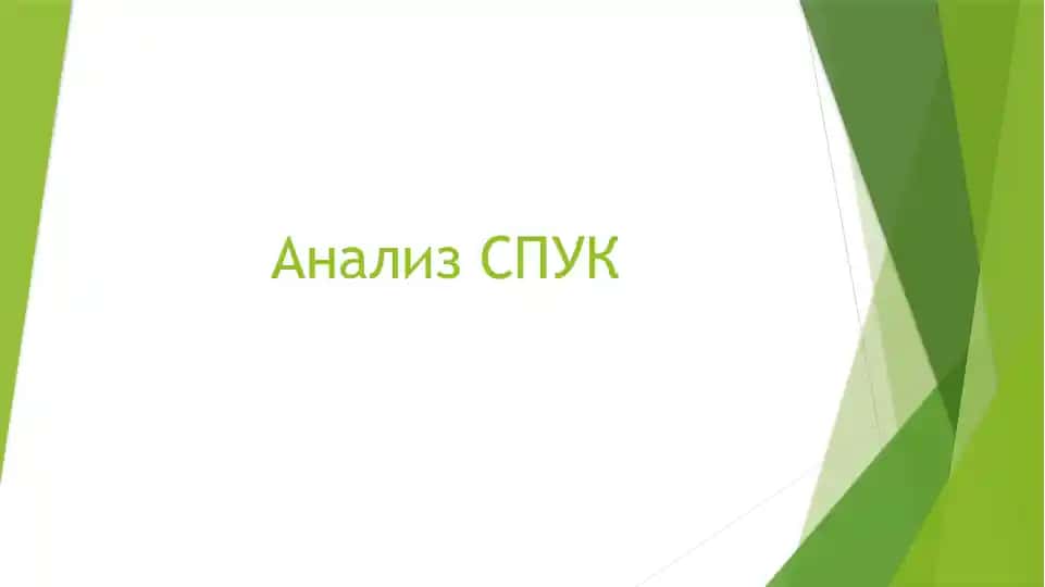 Анализ СПУК
