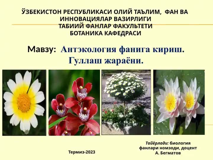 Антэкология фанига кириш. Гуллаш жараёни