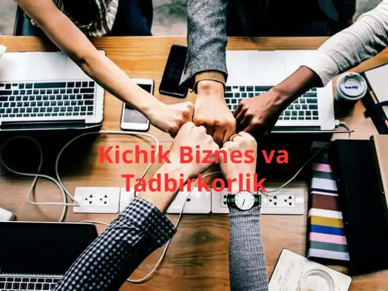 Kichik Biznes va Tadbirkorlik Muammolari