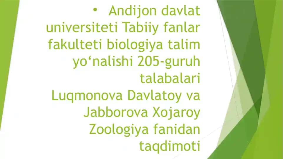 Sutemizuvchilarni ichki tuzilishi