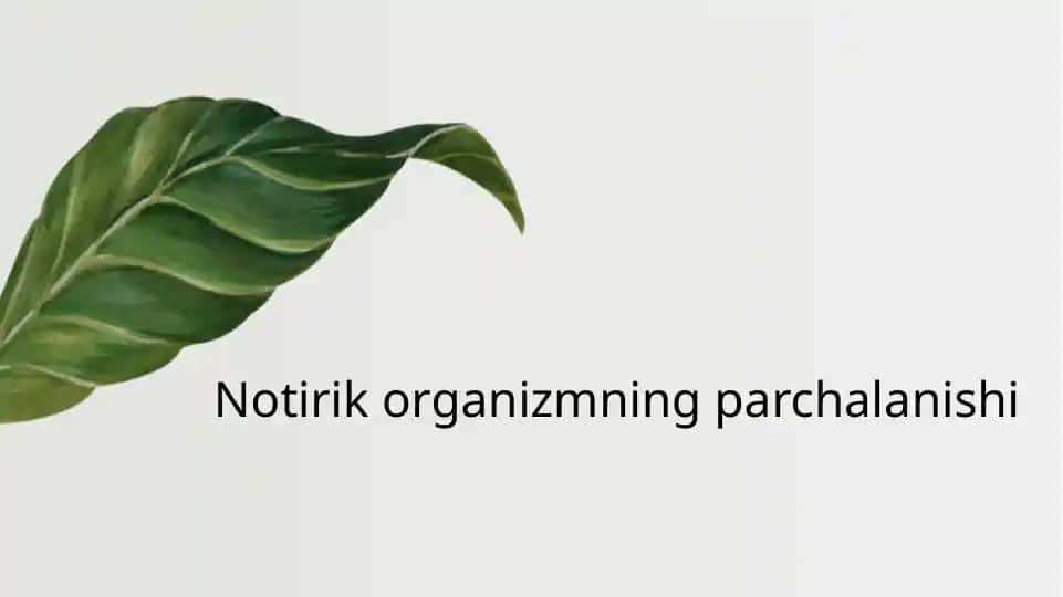 Notirik organizmning parchalanishi