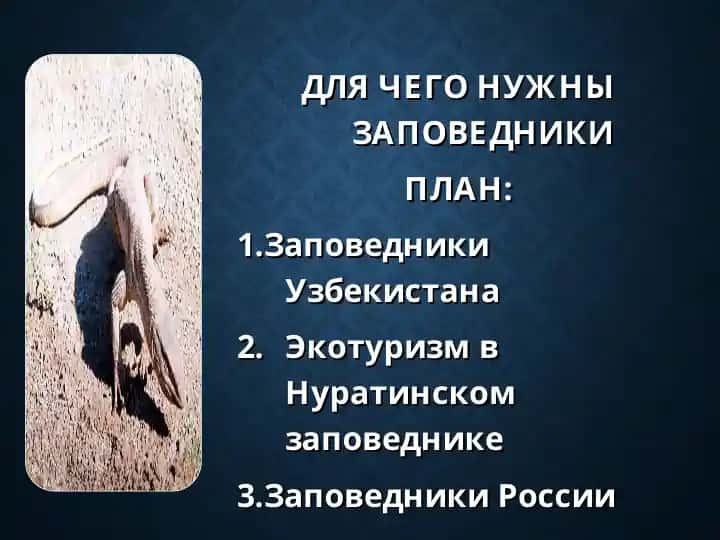 Nūratin zapisnik