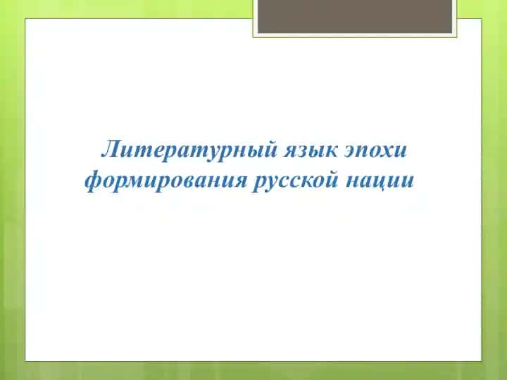 Литературный язык эпохи формирования русской нации
