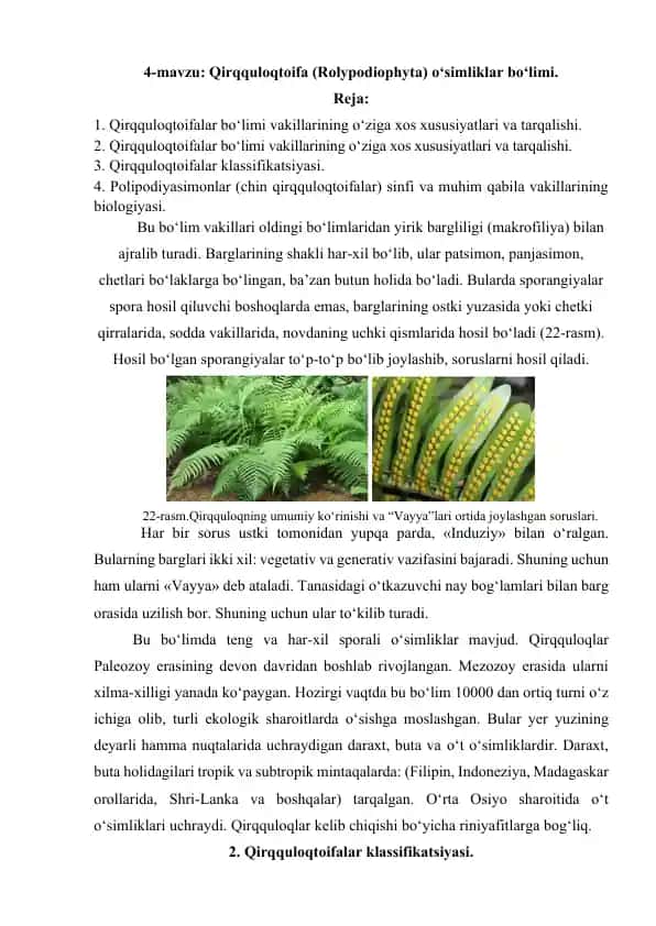 Qirqquloqtoifa (Rolypodiophyta) o‘simliklar bo‘limi